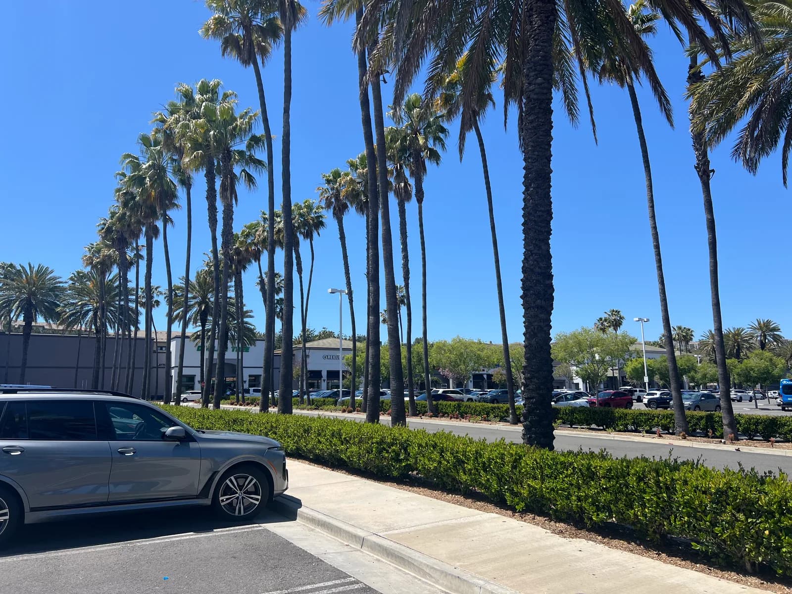 Aliso Viejo city photograph